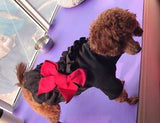 Teddy dog dress Pomeranian dog dress Cat dress