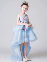 Little girl's sky blue embroidered high low ball gown
