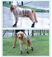 Big dog’s transparent raincoat