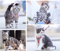 Cute and comfortable cat harness and leash