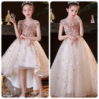 Sparkly champagne party wear dress for girl