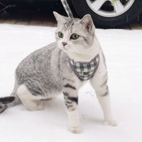 Cute and comfortable cat harness and leash