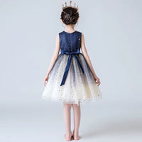 Little girl's sparkly blue gown