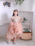 Brown ball gown for little girl