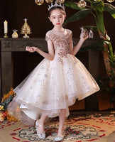 Sparkly champagne party wear dress for girl