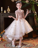 Sparkly champagne party wear dress for girl