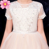 Short sleeve little girl's white and champagne lace dress