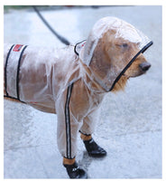 Big dog’s transparent raincoat