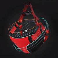 Dog’s vest and leash with reflective stripe