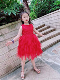Burgundy dress for little girl red ball gown