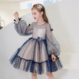 Dark blue champagne dress for little girl long sleeve