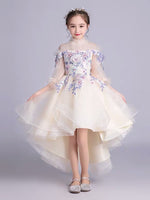 Embroidered champagne ball gown for little girl high neckline