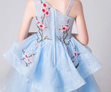 Little girl's sky blue embroidered high low ball gown