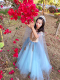 Embroidered light blue ball gown for little girl