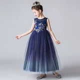 Sparkly little girl's navy blue dress