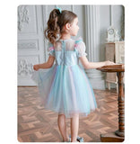 Little girl’s sequin rainbow dress Elsa dress