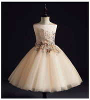 Embroidered champagne flower girl dress with cape