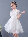 Little girl’s white lace dress