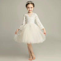 Long sleeve lace flower girl dress champagne embroidered kid's gown