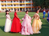 Long sleeve pink ball gown for little girl