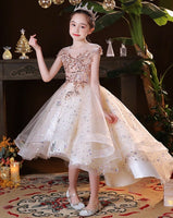 Sparkly champagne party wear dress for girl