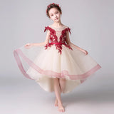 Little girl's champagne prom dress with burgundy embroidered