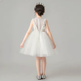 High neckline sleeveless little girl's white tulle dress