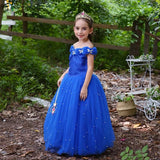 Cinderella gown blue kid's party dress long