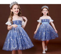 Elsa dress blue dress for little girl