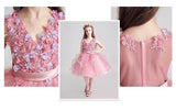 Pink kid's gown embroidered party dress performance dress prom dress