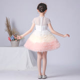 Tu Tu dress for little girl white pink ball gown