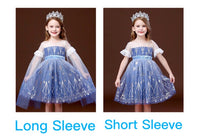 Elsa dress blue dress for little girl