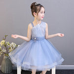 Short blue kid's gown pink flower girl dress