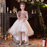 Sparkly champagne party wear dress for girl