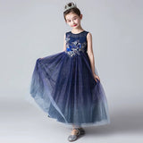 Sparkly little girl's navy blue dress