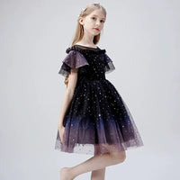 Little girl's sparkly gradient dark purple tutu dress