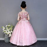 Pink embroidered little girl's ball gown