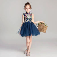 Royal blue embroidery flower girl dress