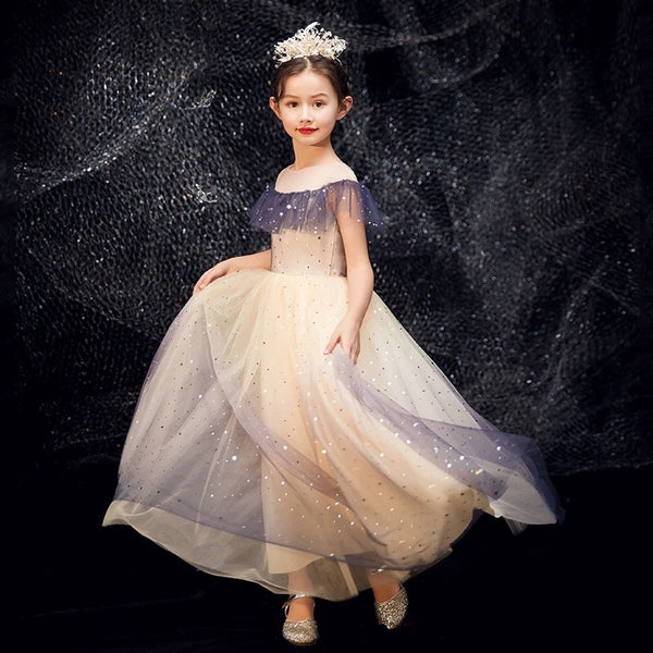 Sparkly little girl's tulle dress